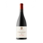 Rivetto, Barbera D´Alba Zio Nando DOC 2015